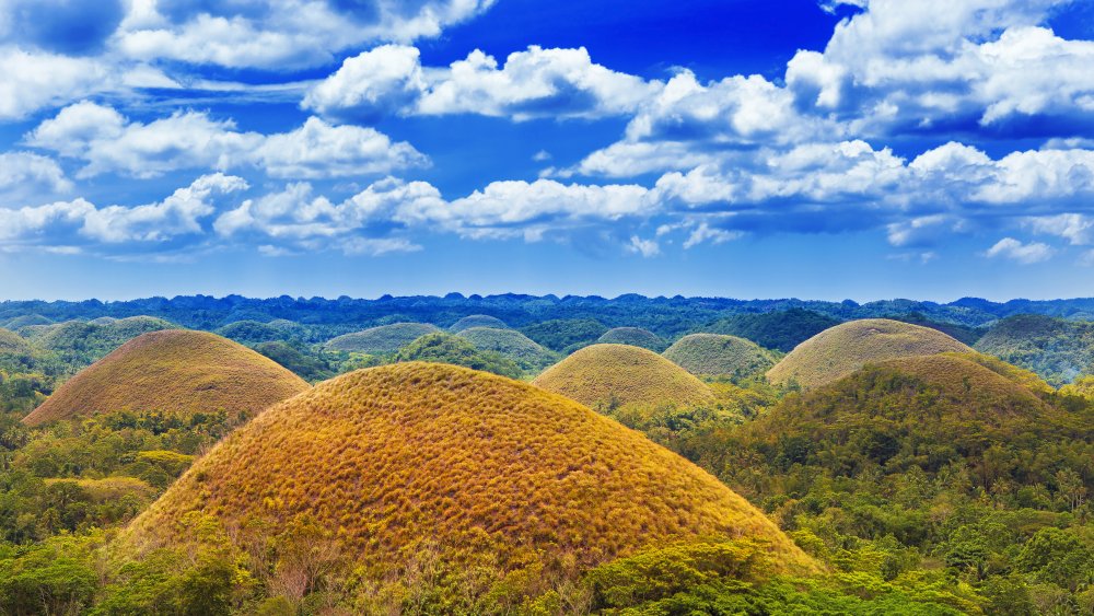 Chocolate hills